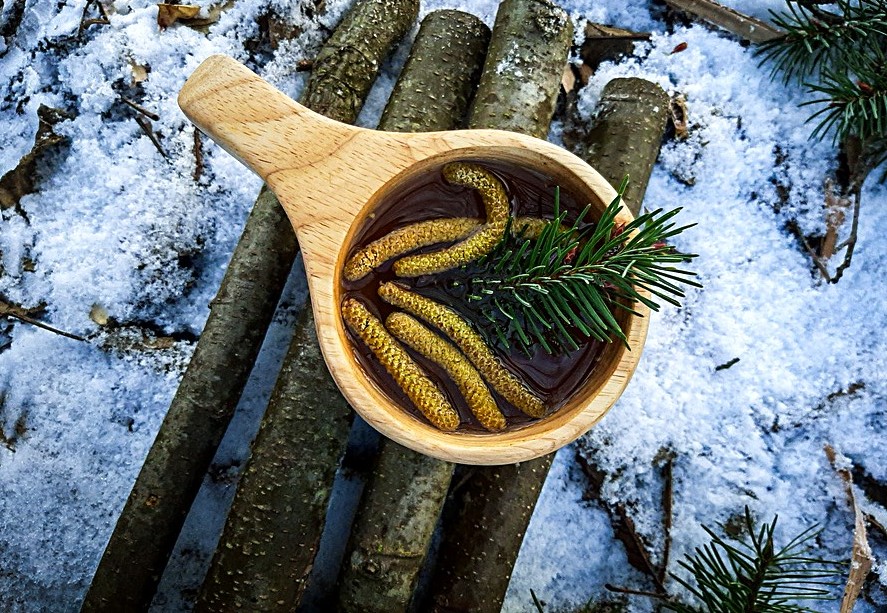kuksa z zimową leśną herbatką