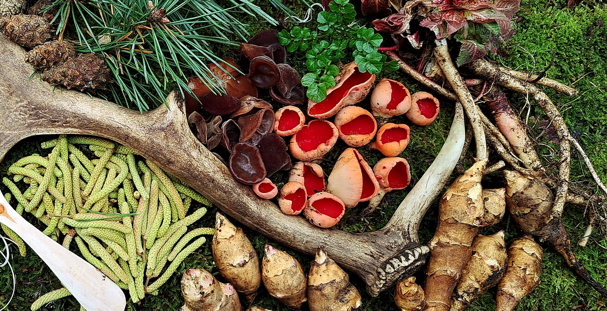 Zimowe warsztaty dzikej kuchni, zimowe grzyby i rośliy w dzikiej kuchni, bushcrafcie i survivalu, skazani na outdoor Marcin Pempera